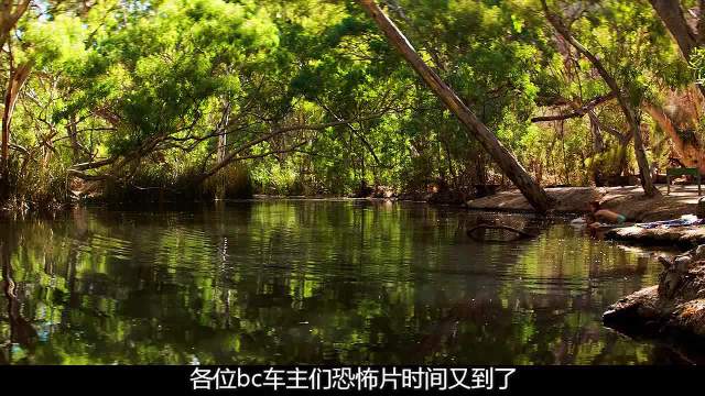 还没脱离危险就得意了，这不受罪都不合理！