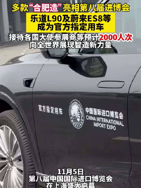 合肥造新能源车亮相进博会接待2000人次