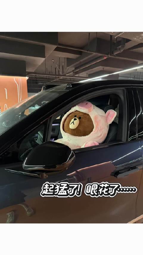 熊都停的比你好！