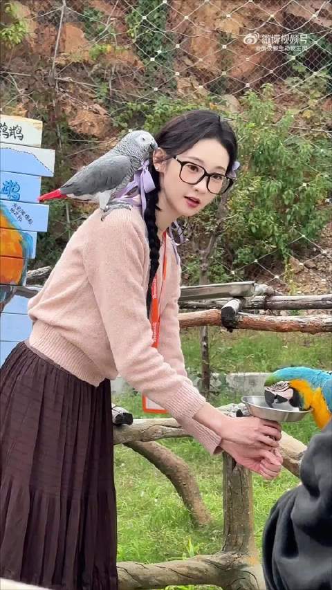 当甜妹变成@武汉野生动物园 园长张艺凡
