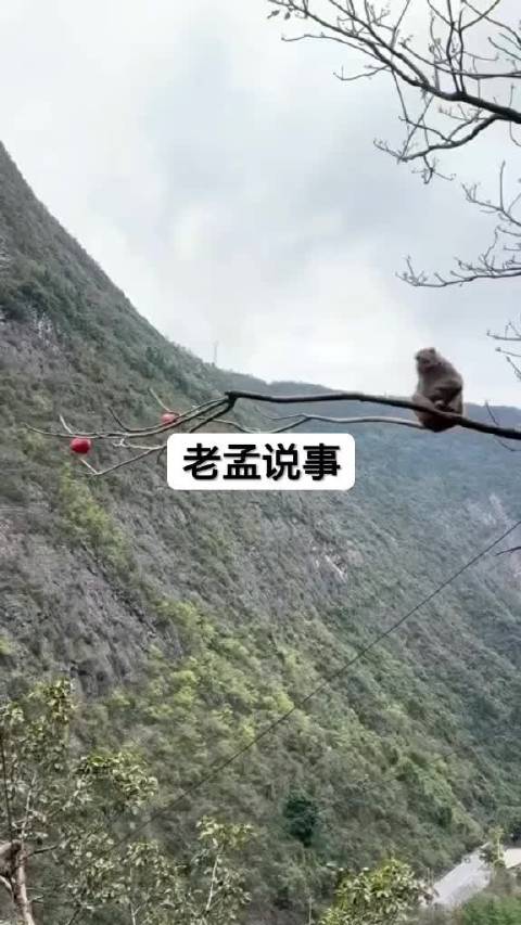 桂纶镁回应白百何落选东京电影节，王传君登顶