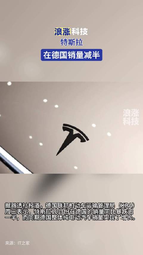 特斯拉在德国销量减半
