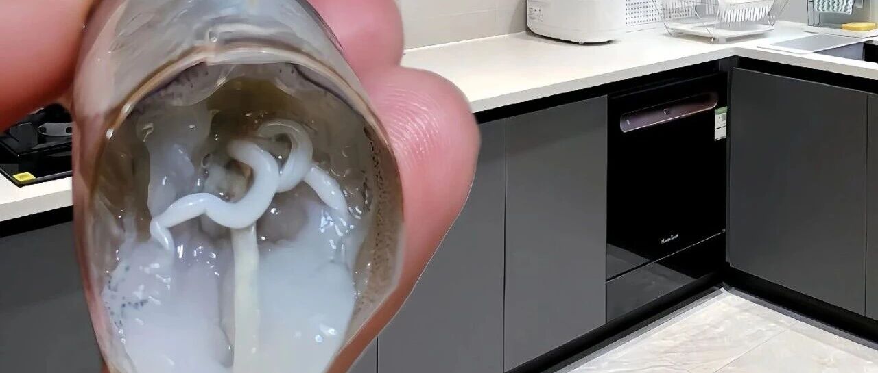 活虾“神秘白线”非寄生虫！水产食品科学消费指南