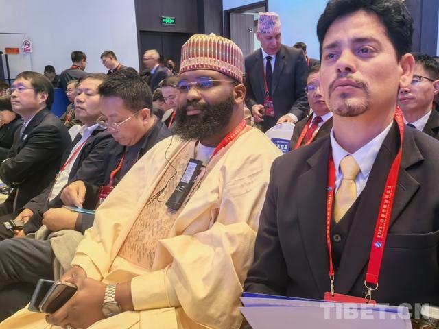 图为2025·中国西藏发展论坛现场 摄影：赵振宇