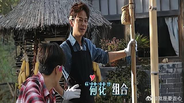 惠若琪摘土豆不带袁心玥？何炅知道原因后，瞬间笑喷！