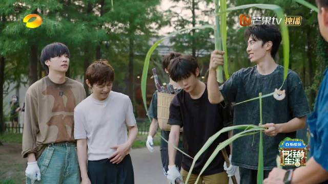 赵小童农田展身手，周五晚湖南卫视芒果TV同步播出