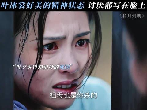 主打一个有仇就报，绝不内耗