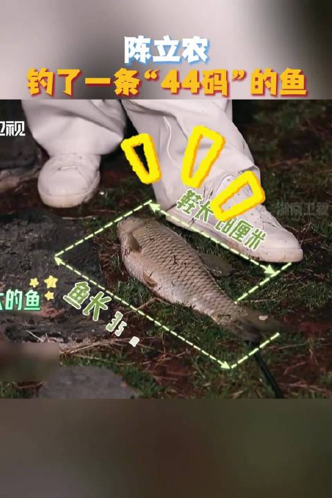钓了一条“44码”的鱼，肉眼可见的兴奋！