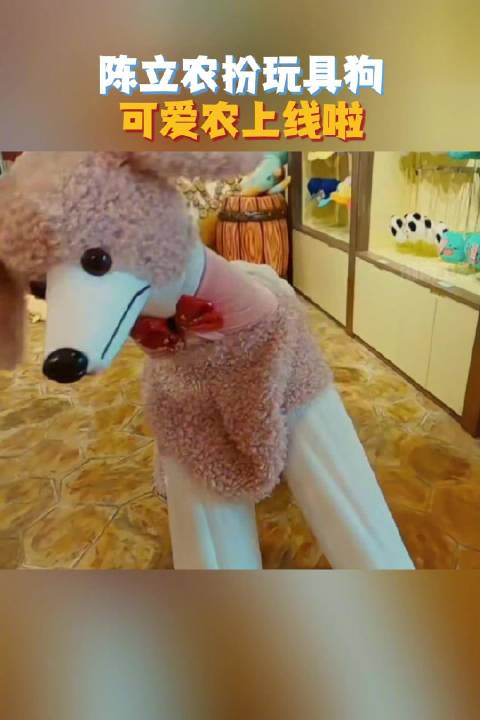 从歌声到性格都这么温柔，这样的@陈立农 谁能不爱！