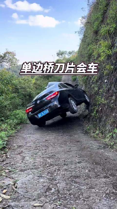 老司机单边桥爬墙会车