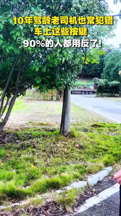10年驾龄老司机也常犯错，车上这些按钮你用对了吗？