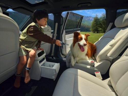 求推荐适合老人小孩的健康环保车？2026 款东风 eπ008，新能源六座 SUV，材质无异味