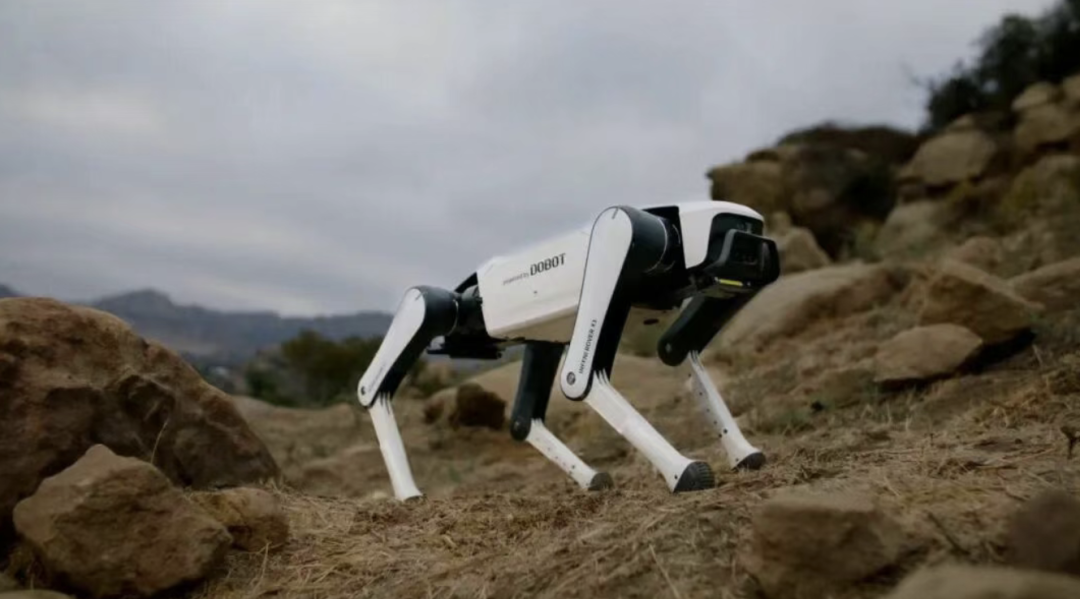 蓝思科技,获10000台机器狗订单