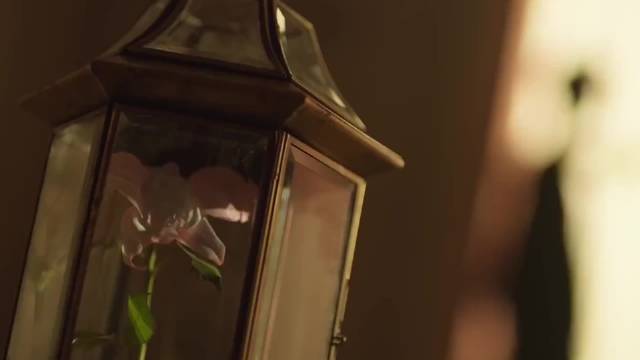 徐海乔谈舞台热爱称被定格的乌托邦，明午湖南卫视《背后》揭秘