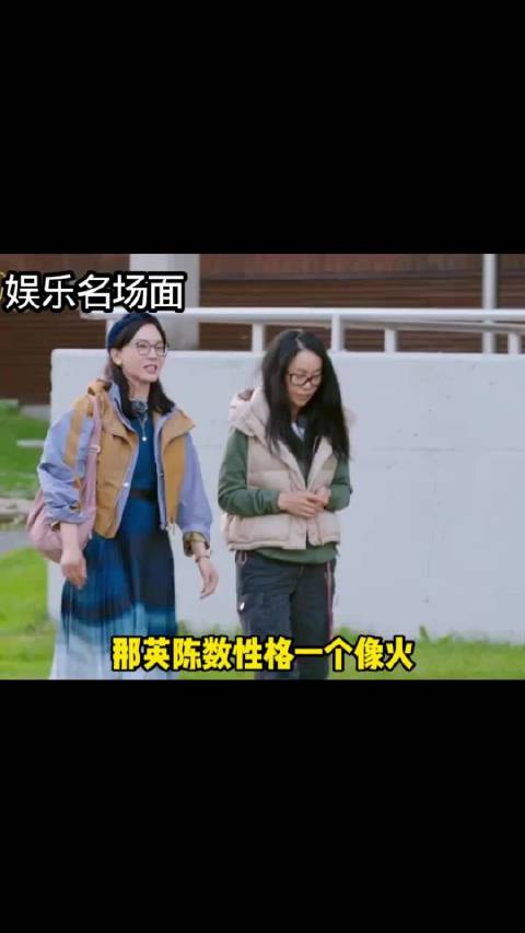 那英陈数俩人相互袒露以往的经历