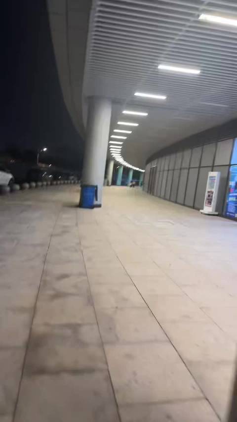 林忆莲巡演唱响经典《野风》，粉丝激动落泪