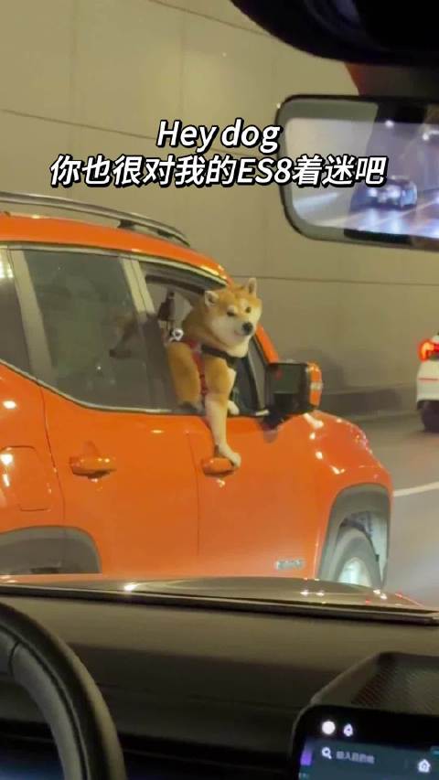 蔚来全新ES8提醒乘客勿将头手伸出窗外