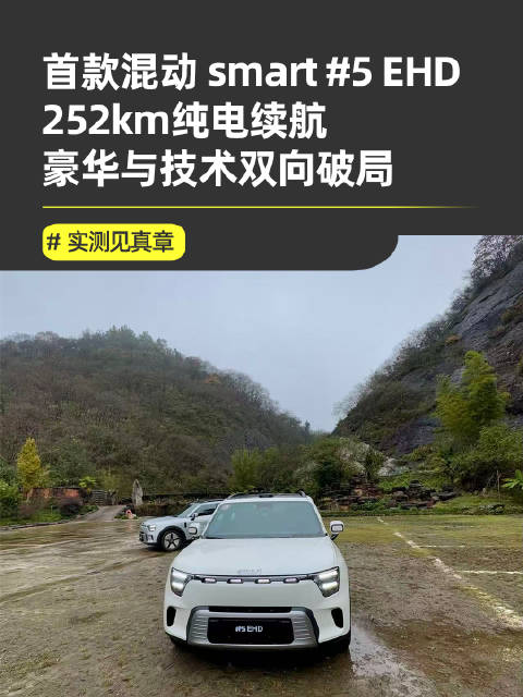 奔驰设计smart 5 EHD上市，252km纯电续航16.99万起