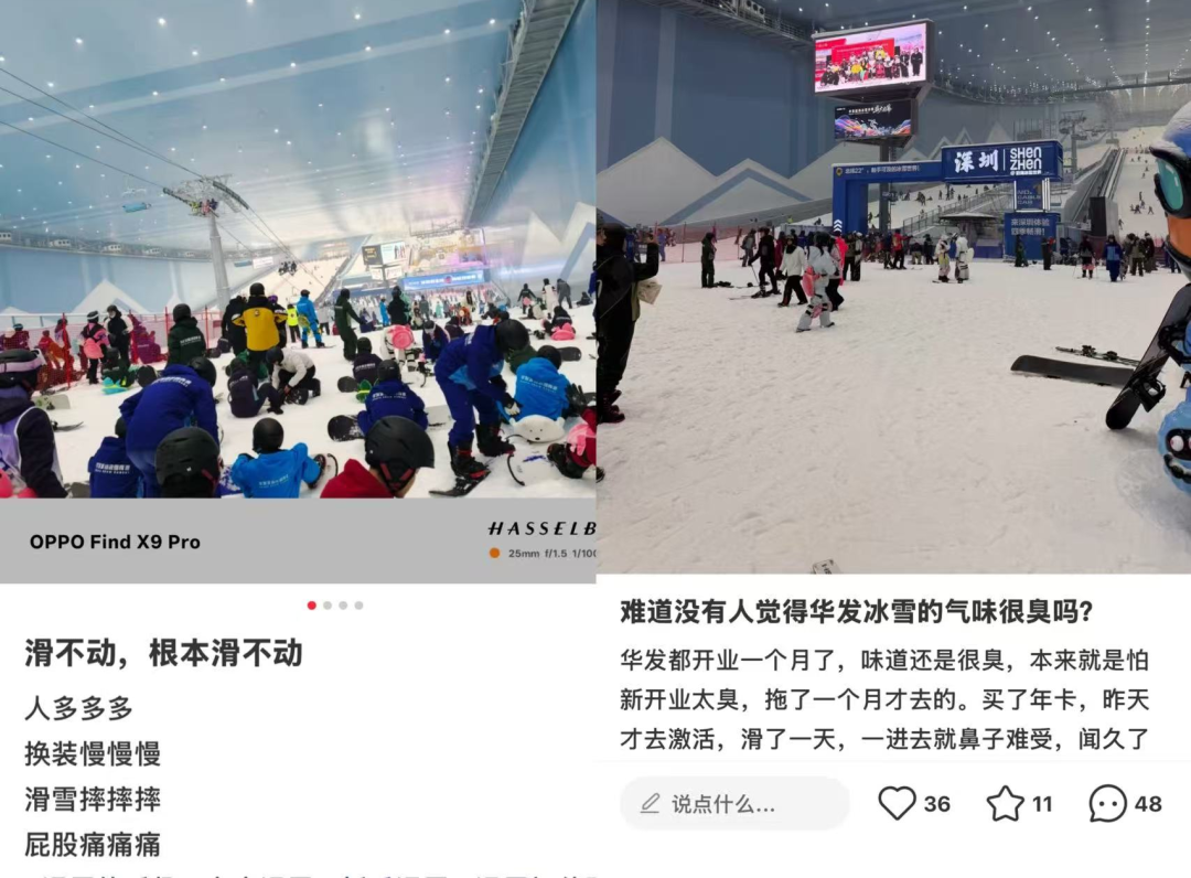 截图来源于小红书