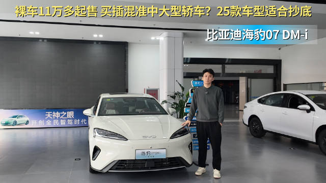 裸车11万多起售 家用插混中型轿车 老款海豹07 DM-i适合抄底