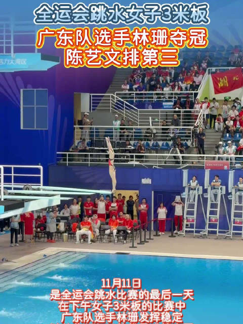 广东队选手林珊女子跳水3米板夺冠