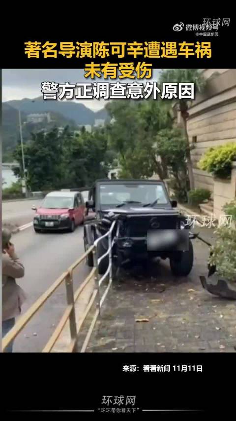 陈可辛驾车为躲避狗撞上人行道