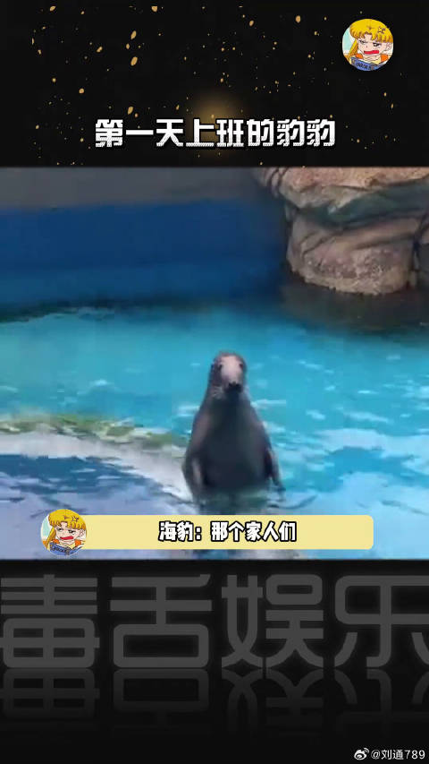 大…大家好，我新报道的海…海豹，还请各位多多关照（搓手手）
