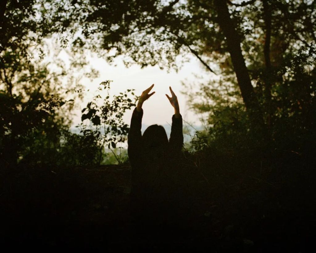 《找回那些甲虫》系列之一，和喆作品