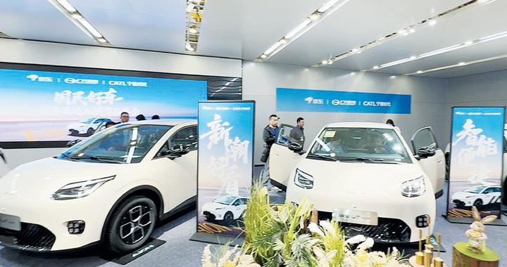 租电版仅售4.99万，京东野心不止于卖车