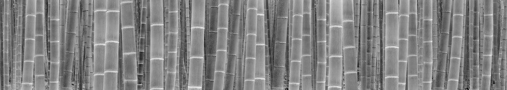 《竹语》系列之一，金大洙作品