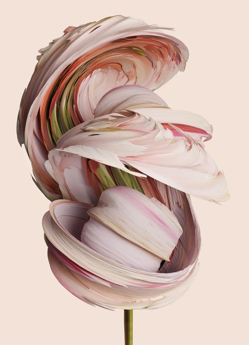 《未知植物》（Flora Incognita）系列之一，文森·富尼耶作品