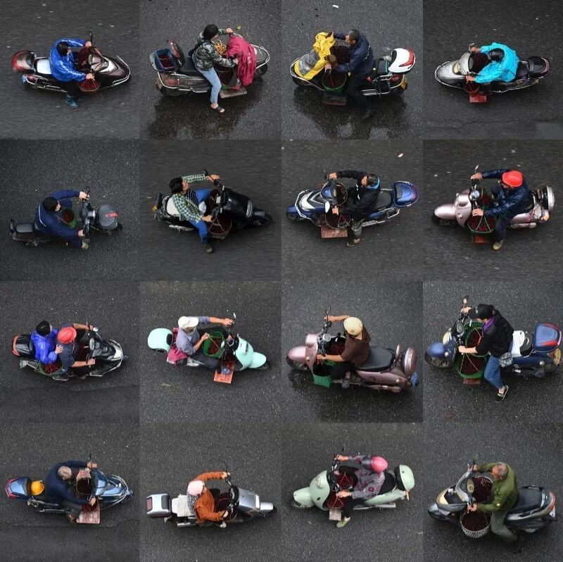 朱骏《采梅归来》。“杨梅红了——艺术驻地成果展”作品之一