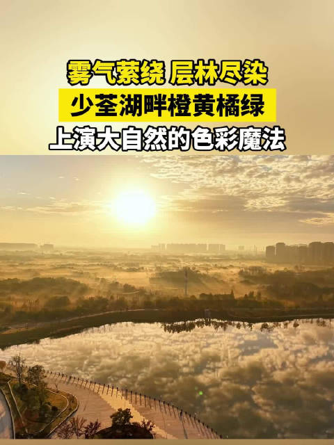 合肥的少荃湖初冬美如仙境