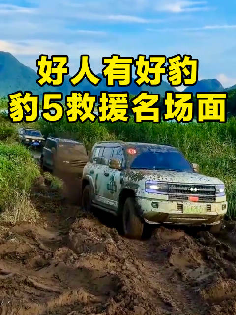 好人有好豹 盘点方程豹豹5救援名场面