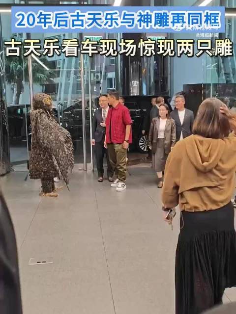 古天乐提车遇神雕同框重现经典