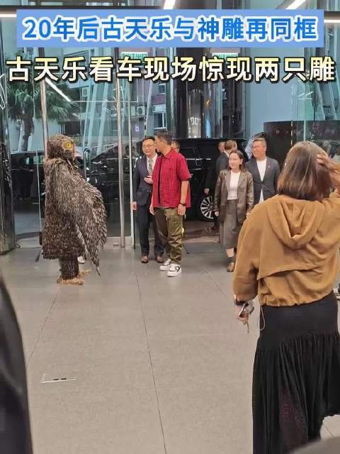 古天乐看车遇神雕护法，20年后再同框引回忆杀