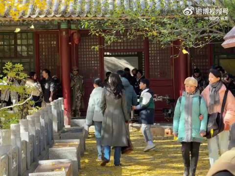 在潭柘寺偶遇王鸥刘浩存黄轩拍摄，完全实景拍摄，真的好美啊