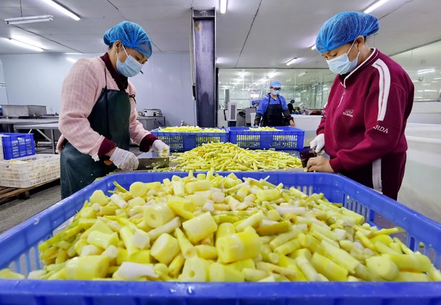 林草产业蕴藏着巨大的经济发展潜力，是绿色富民产业。图为湖南一家竹笋加工企业。摄影/章轲