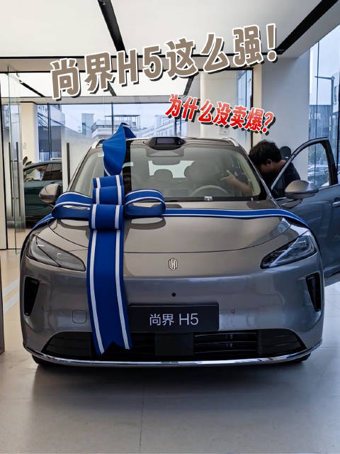 提车了，不明白尚界H5 那么好的一台车，为什么没有卖爆？