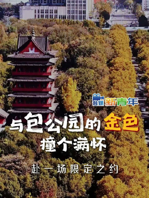 冬天的合肥太治愈了