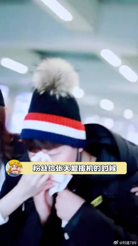 粉丝接机受伤张天爱为其止血落泪