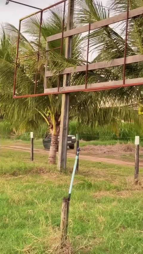 今天刷到一个奇葩的车，我就想问油箱放哪？倒车咋办啊