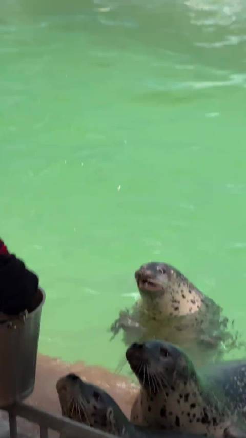 哇哇哇哇哇哇！不给我吃！我就一直哇哇哇哇哇叫！