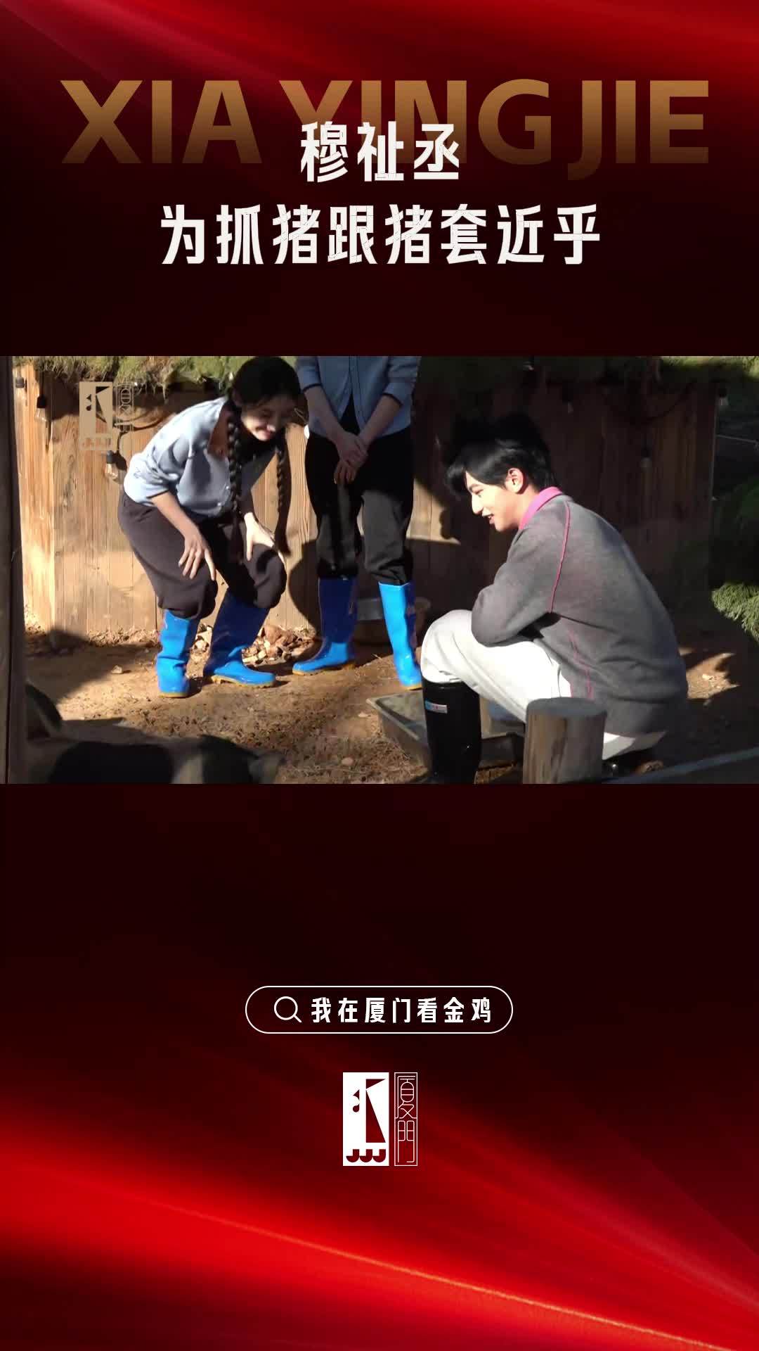 穆祉丞为抓猪和小猪套近乎