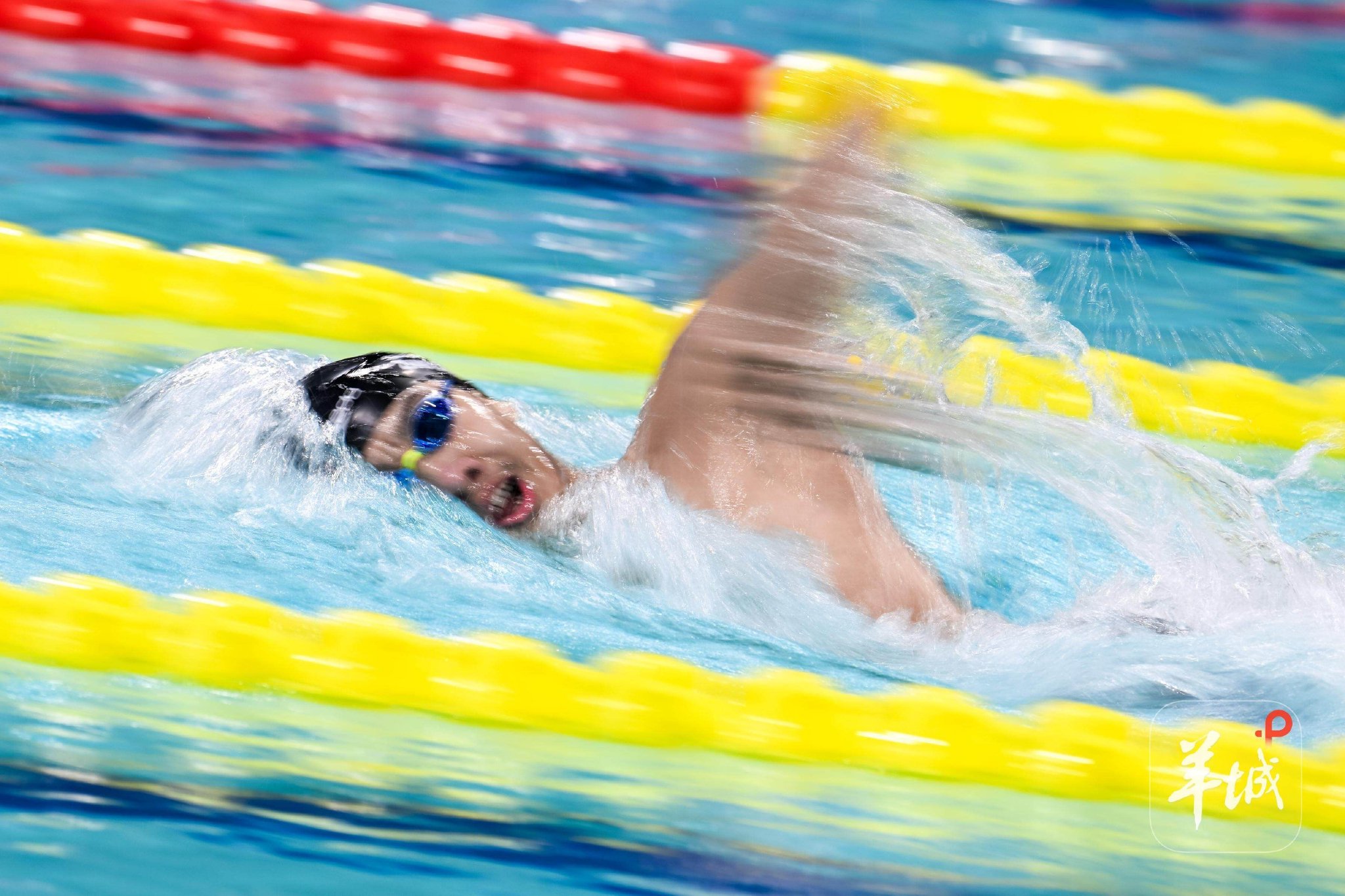 群星闪耀，十五运会游泳赛场继续上演“神仙对决”