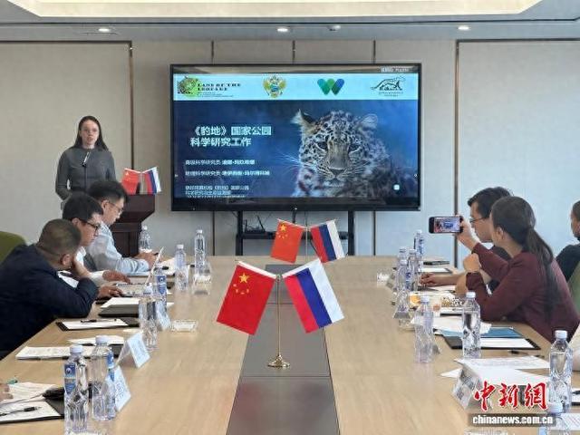 俄罗斯专家分享保护东北豹经验。 郭佳 摄