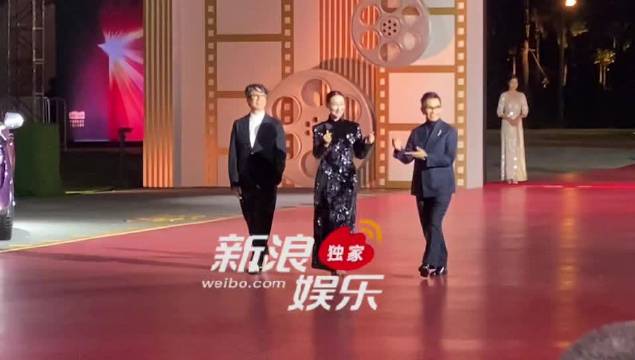 惠英红袁富华亮相金鸡奖红毯，红姐比心引关注