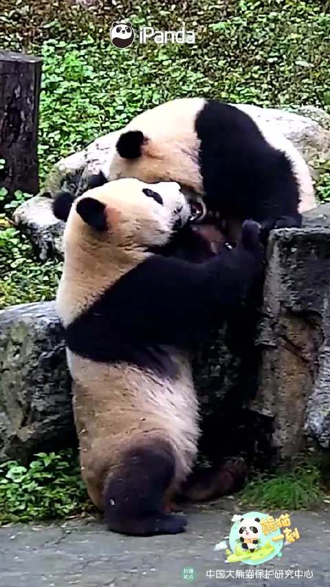 夏夜萤火虫微光为迷路者指路