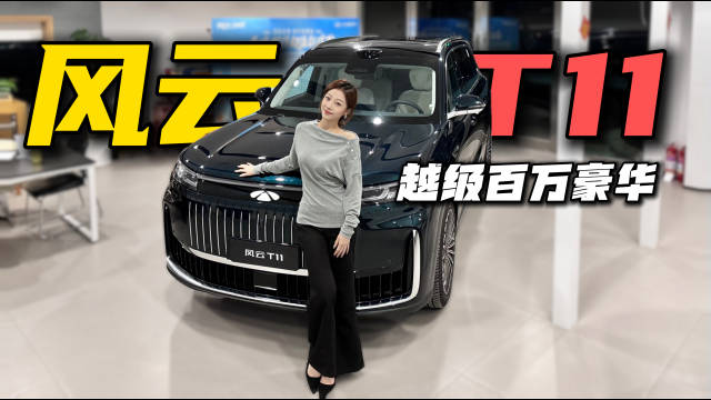 车主亲赴4S店探风云T11交付进度