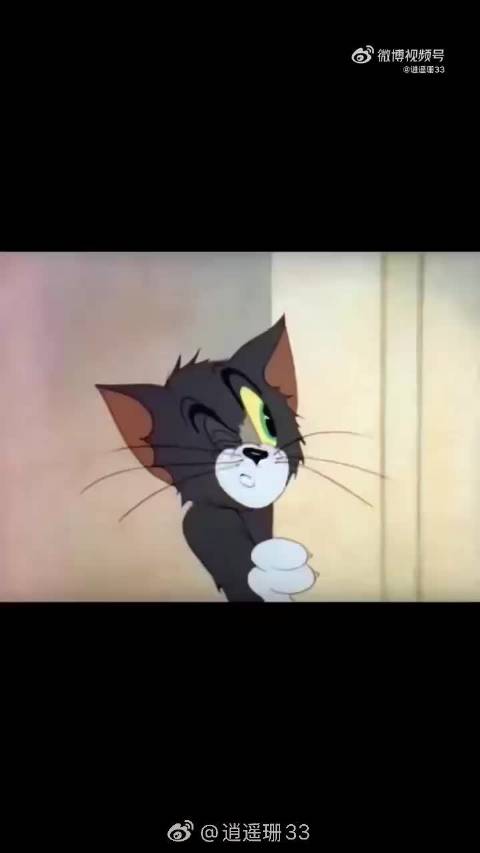 林忆莲雾都开唱声音魔力引沉醉